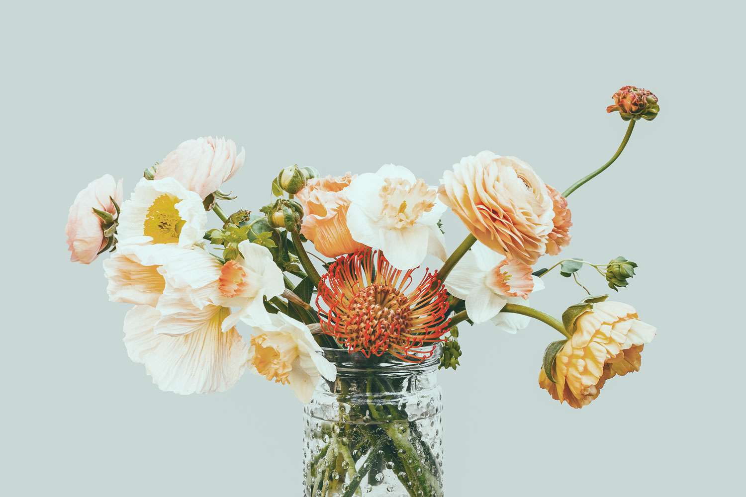 Indelicate Petals - Jar of Flowers Header